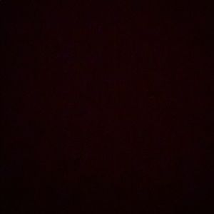 Meet your Posher, Ryder